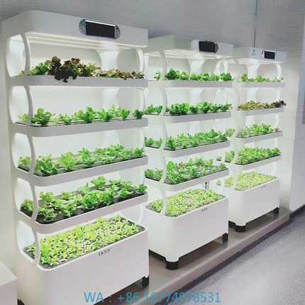Home Automation Systems Diy - Hydrocultuur geautomatiseerd kweeksysteem Intelligent hydrocultuur kweeksysteem