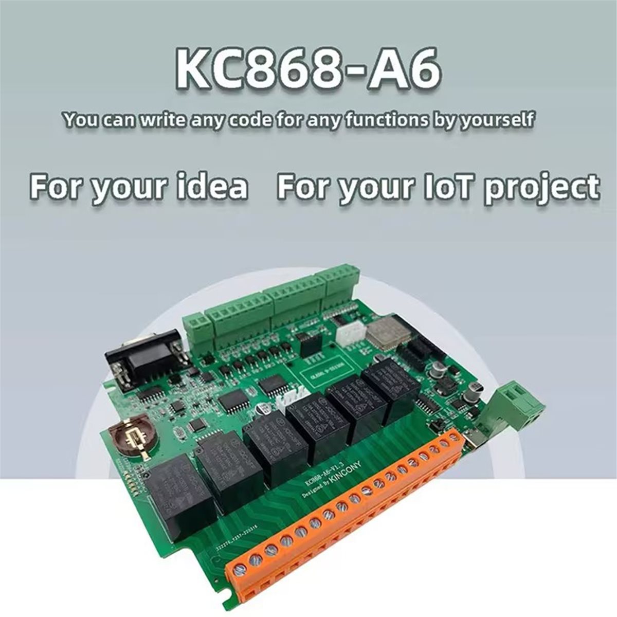 KC868-A6 ontwikkelbord MQTT We - Home Automation Systems Diy recensie en prijs